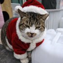 씨유전주효자센터점 | 지구에서 살아남은 탐사자 드림