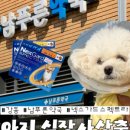 남푸른약국 네이버블로그