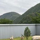 두온풀빌라 이미지