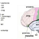 임상신경심리학 이미지