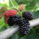 세탁하는날 이미지