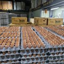 횡성양계 이미지