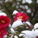 남부새싹공원 이미지