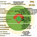 김포시뉴리틀야구단
