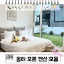 DOG특한 미용실 | 깨끗한 숙소 찾는다면?! 2025년 오픈한 신축 애견펜션 BEST 9