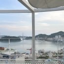 슈가몽 544 이미지