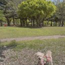 한뫼공원 이미지