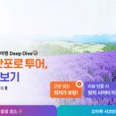 포인투어 네이버블로그