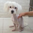 美 스토리