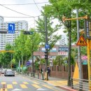 옐로카펫 이미지