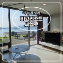 비고리조트 8 이미지