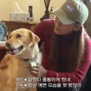 캐나다 체크인
