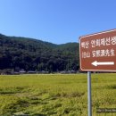 의령상회 이미지