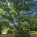 숲속의펜션 이미지