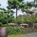 제주 한림 용암동굴지대 | 제주여행&amp;한림가볼만한곳 / &lt;협재해수욕장&gt;&amp;&lt;한림공원&gt;