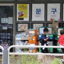 강서초교 이미지