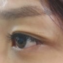 란샵RAN