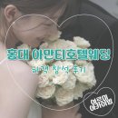 스타일호텔 | [홍대 아만티호텔 웨딩 후기] 채플 스타일, 나쁘지 않은 선택지