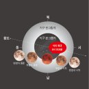 부분밖의 부분 이미지