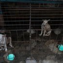 종식농장 이미지