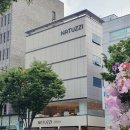 수입가구 편집샵 스테이에이치 &amp; 나뚜찌 논현동 가구거리 플래그십스토어 방문 후기