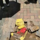 시외버스터미널 앞 1 이미지