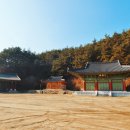지림사 - 1728 | 지림사