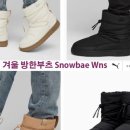 푸마두타점