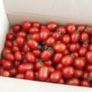 예가축산 이미지