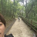 청룡체육관 이미지