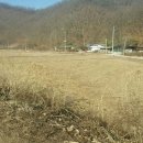 혜성부동산공인중개사사무소 이미지