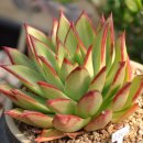 송정하우스 이미지