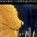 악세사리홀릭 이미지