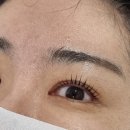 화인정비 | 강남속눈썹펌 신논현속눈썹펌 화인뷰티