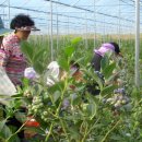 담양수퍼 이미지