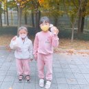 새알곡유치원 이미지