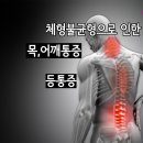 잠실바른정형외과의원 이미지