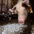 재남농장 이미지