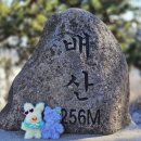 톳고개로 이미지