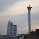 신천코지 이미지