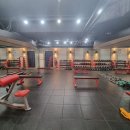 보디피트니스존 이미지