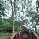 샛바람길 이미지