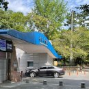 솔레비치오피스텔 | 대회 1일차 (핀수영) [메달 17개획득] 부산 해운대 유앤유 선수반 팀 레슨 / 시합 후기 - 황코치(황재윤)