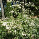 충훈고등학교 이미지