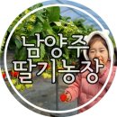 한사랑농장 이미지