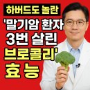 뿌리한약국 | 하버드도 놀란 ‘말기암 환자 3번 살린 식재료’ 정체 공개! 암세포 뿌리째 제거하는 법, 지금 꼭 드세요!