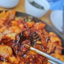 조가네갑오징어 이미지