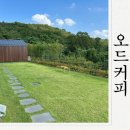 구미 신상 대형카페 오드커피 내돈내산 다녀온후기