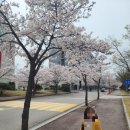 안산시립합창단 특별기획공연 W음악회 네이버블로그