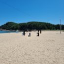 자작도해변 이미지